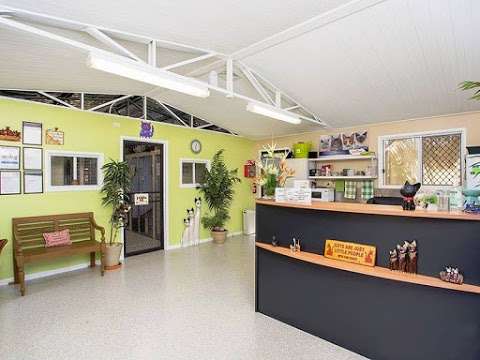 Photo: Cats Cradle Cattery